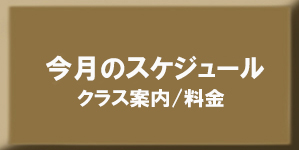 NX̏ЉE/XPW[