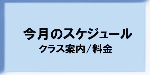 NX̏ЉE/XPW[